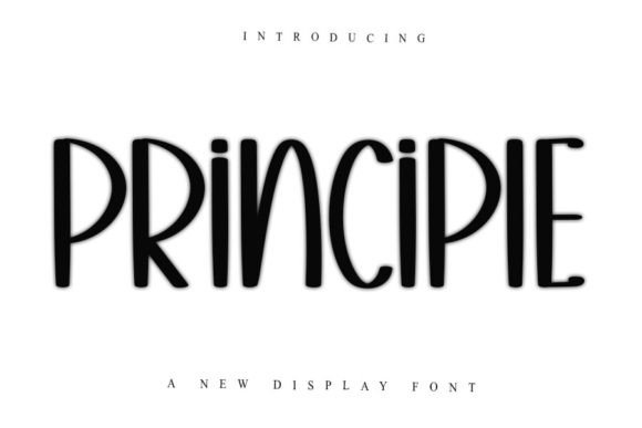 Principle: A Fun Display Font with Elegance for Creative Branding